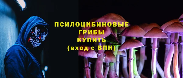 ПСИЛОЦИБИНОВЫЕ ГРИБЫ Алексеевка