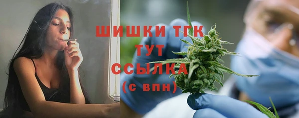 ПСИЛОЦИБИНОВЫЕ ГРИБЫ Алексеевка