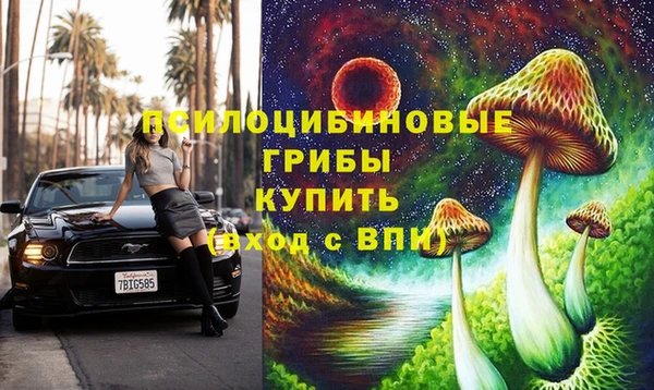 хмурый Алзамай