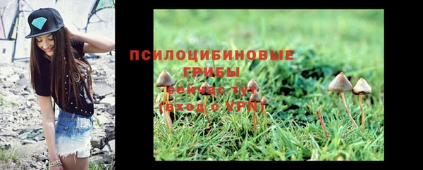 ПСИЛОЦИБИНОВЫЕ ГРИБЫ Алексеевка