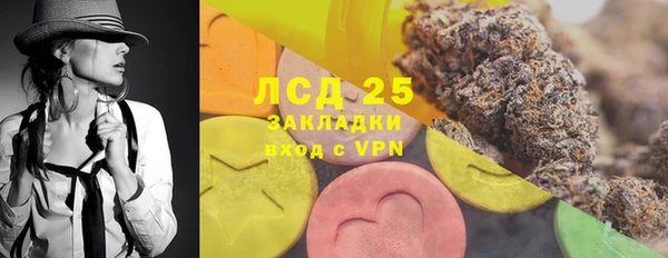 хмурый Алзамай